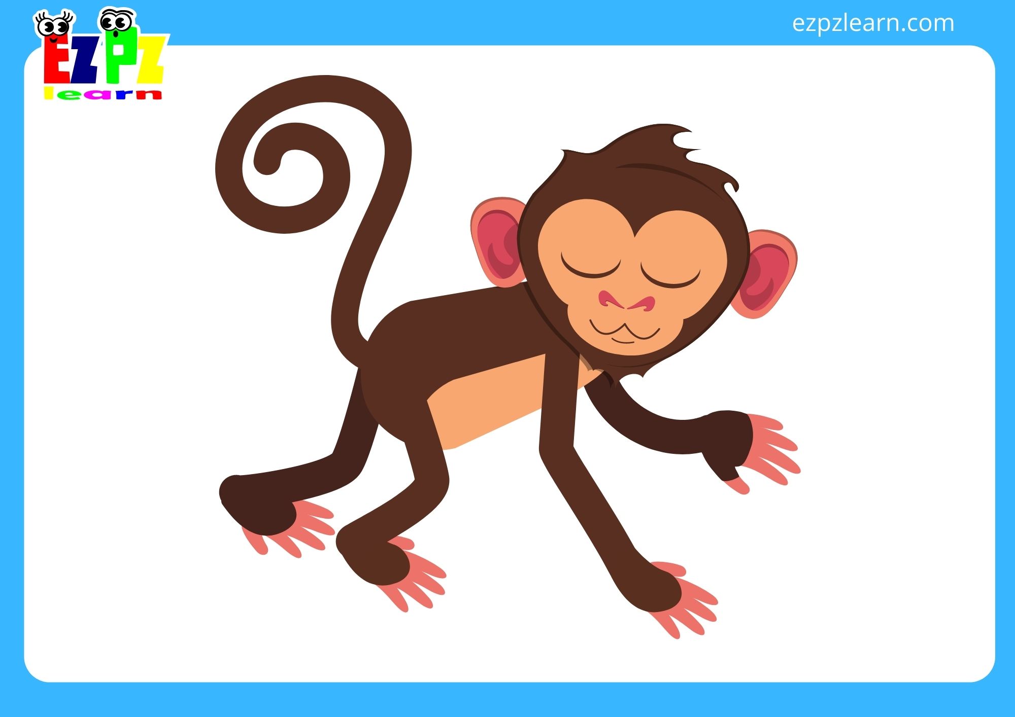 monkey